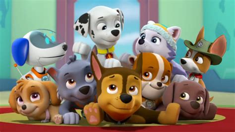  PAW Patrol is a Canadian CGI, action-adventure children series starring a pack of 16 heroic puppies and 4 cats: Chase, Marshall, Skye, Rocky, Rubble, Zuma, Everest, Tracker, Tuck, Ella, Rex, Wild (formerly known as Wild Cat), Rory, Shade, Leo, Liberty, Al, Coral, and Roxi (the last 13 are only... 